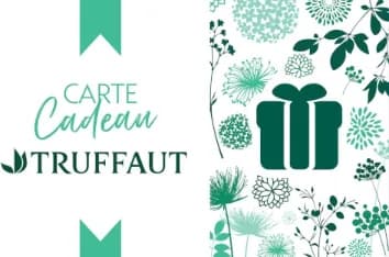 Truffaut France — Truffaut France