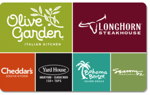 Olive Garden United States — Olive Garden United States USD