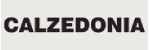 Calzedonia Spain — Calzedonia Spain